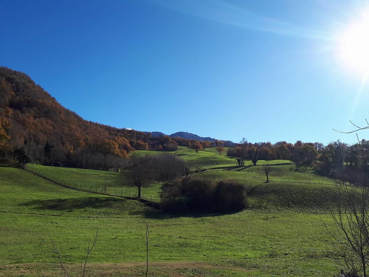 Il Gelso Room&Breakfast Pennabilli Exterior foto